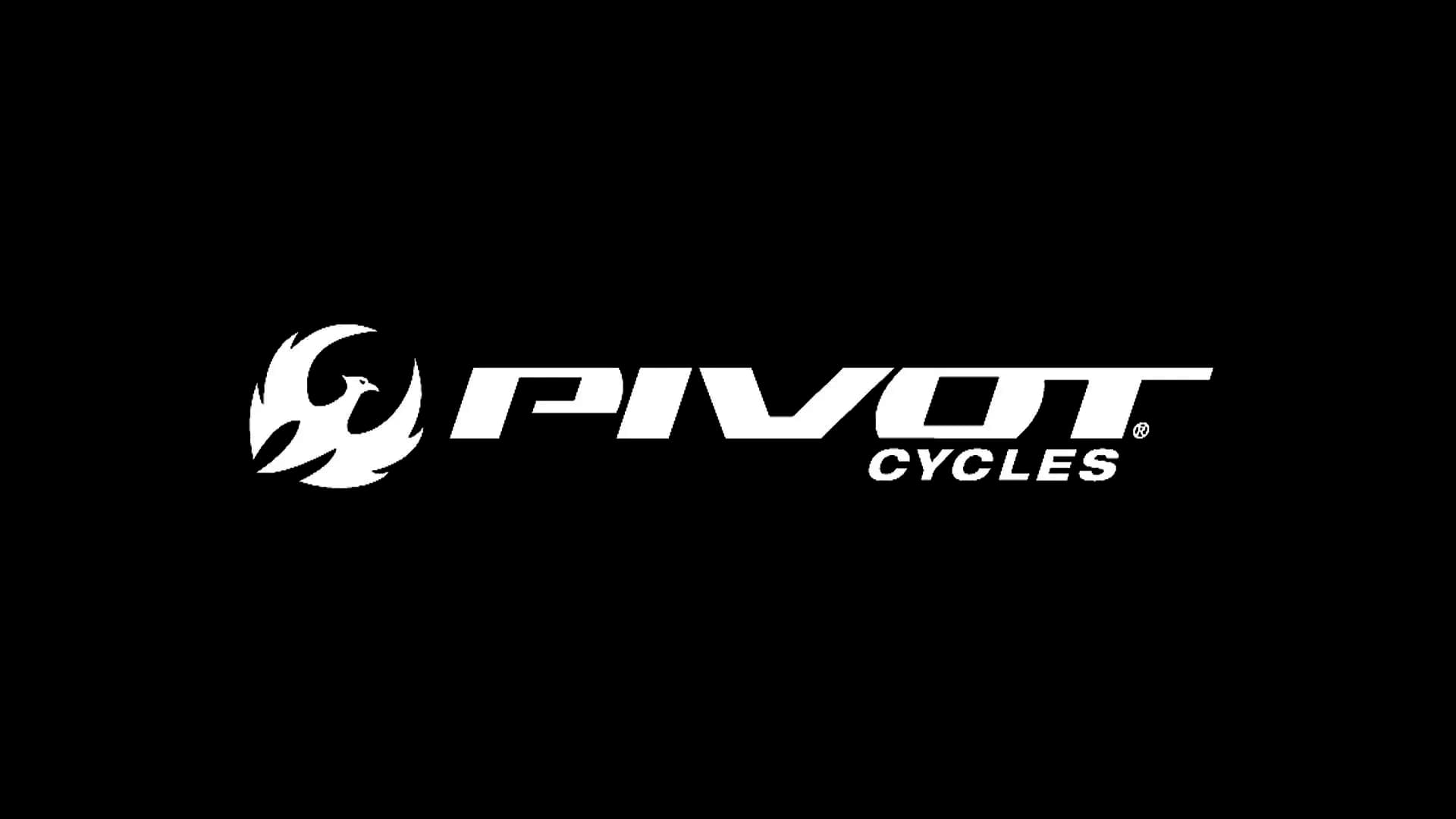 Pivot Cycles