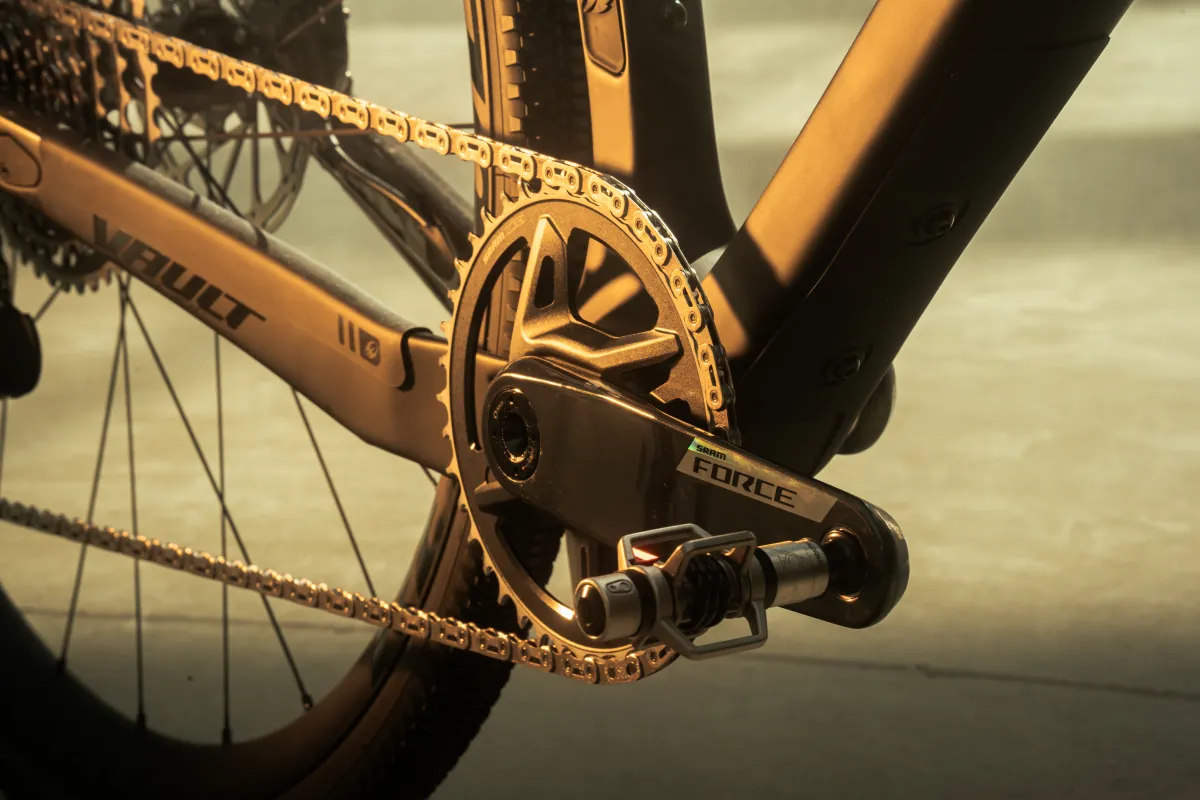 Close-up of the Pivot's crank and chainring
